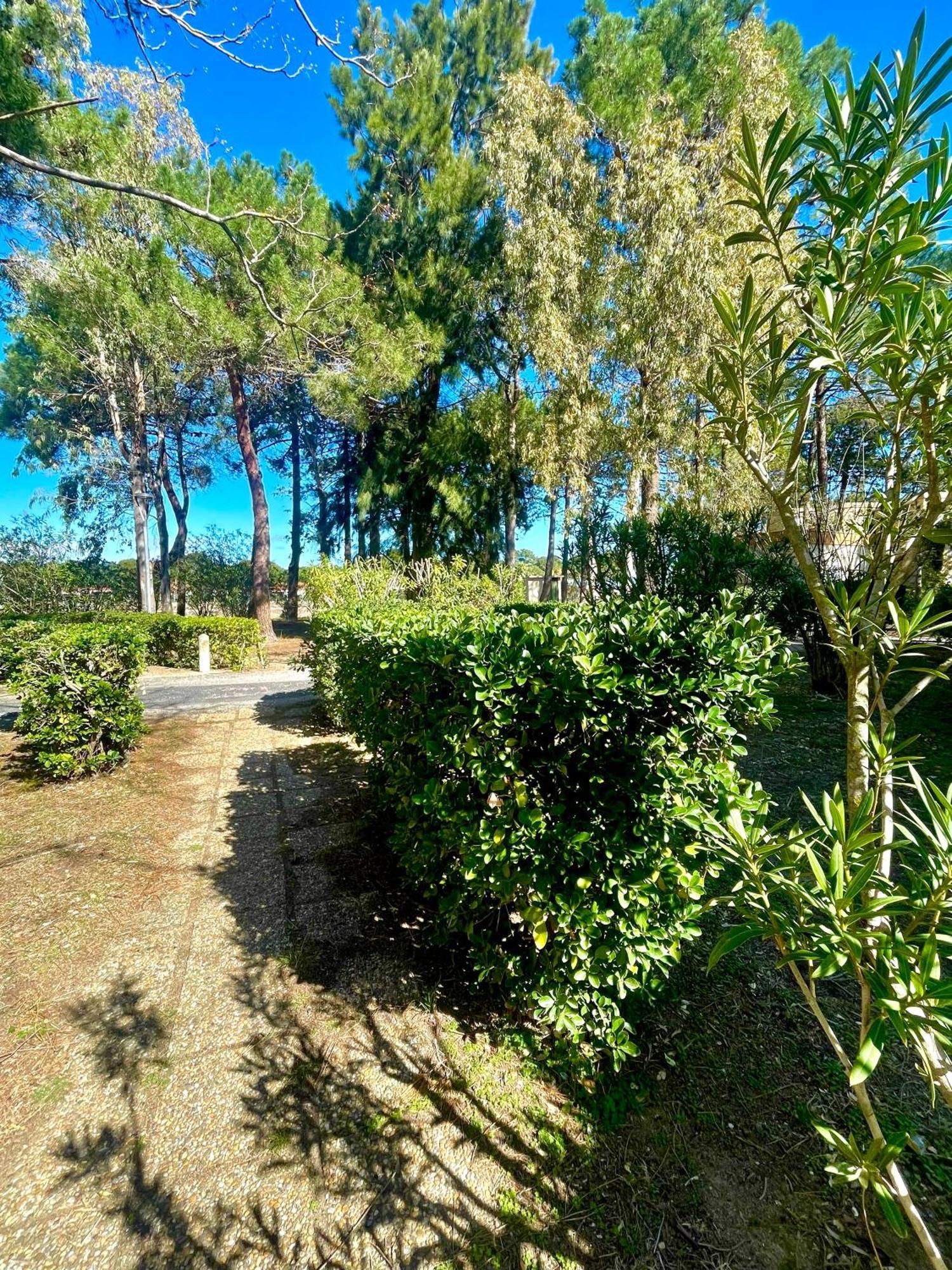 Appart Clim , Wifi, Plage 200 Metres Argelès-sur-Mer Kültér fotó